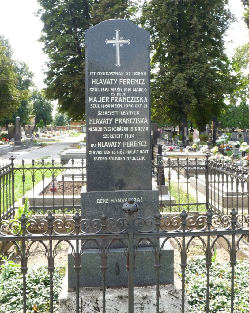 vagsellye-hlavaty-ferenc-sirja (4)