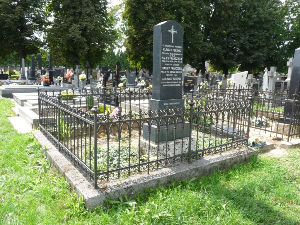 vagsellye-hlavaty-ferenc-sirja (2)