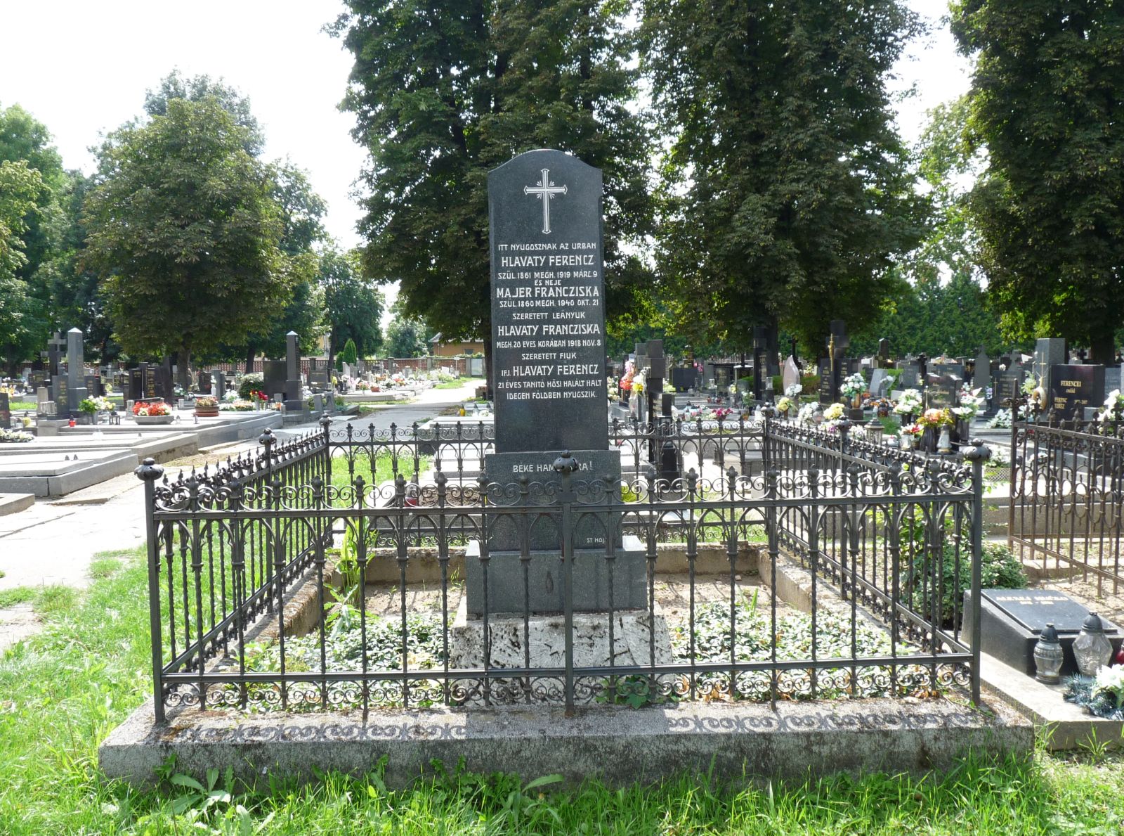 vagsellye-hlavaty-ferenc-sirja (1)