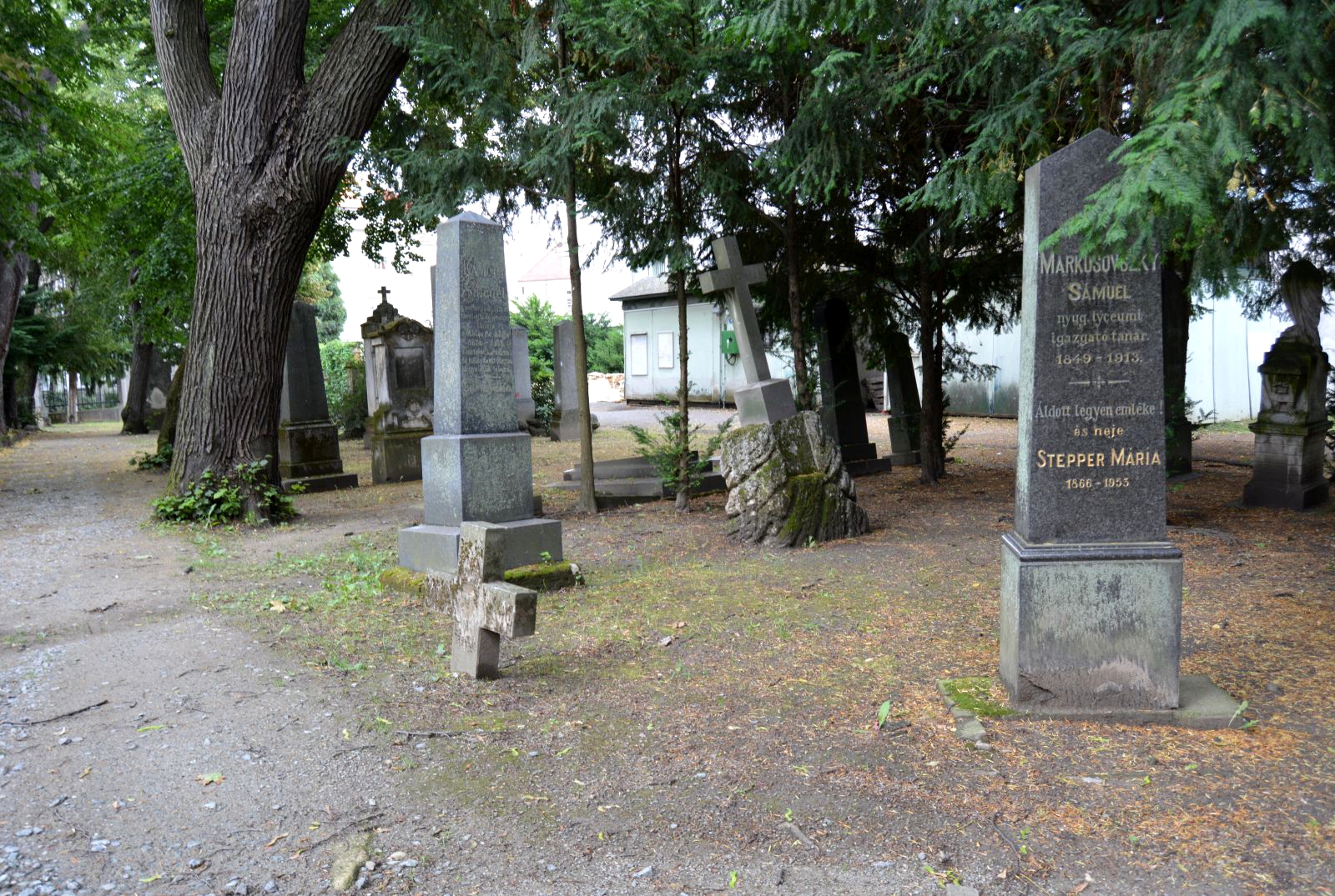 pozsony-markusovszky-samuel-sirja (1)