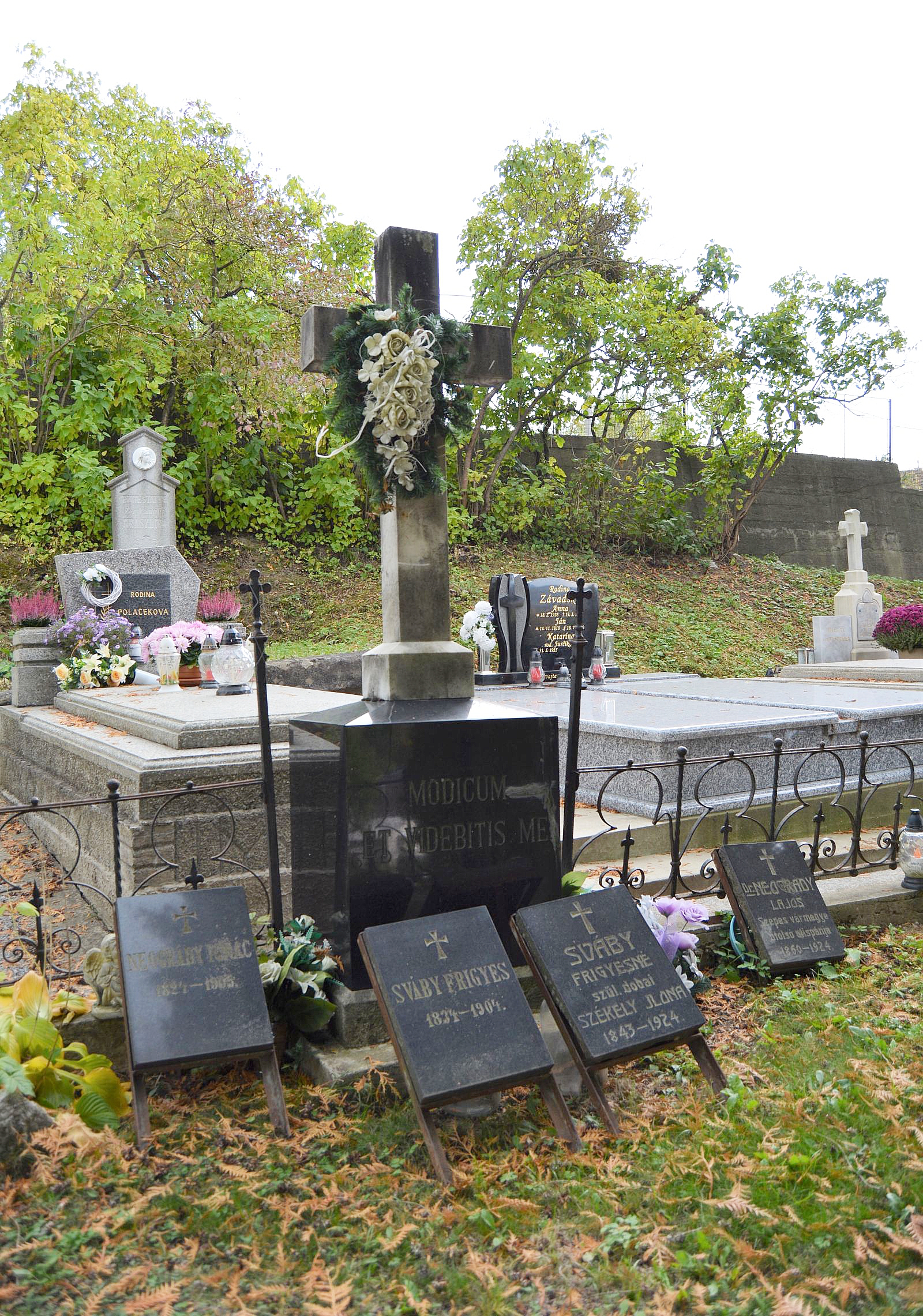 locse-neogrady-lajos-sirja (1)