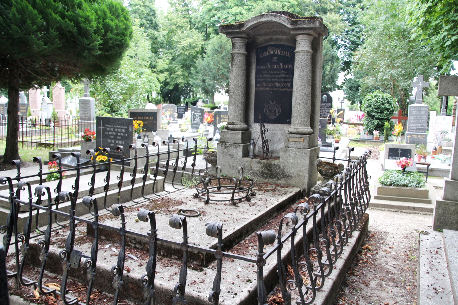 somorja-tocsek-csalad-sirboltja (2)