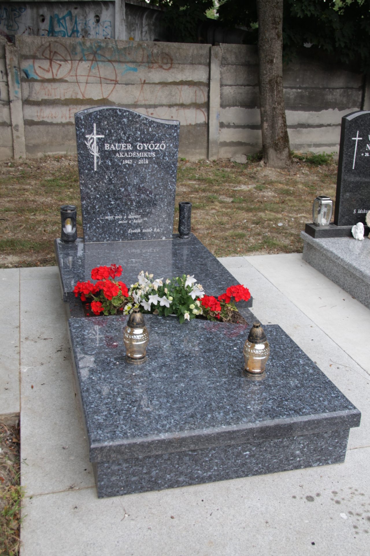 somorja-bauer-gyozo-akademikus-sirja (1)