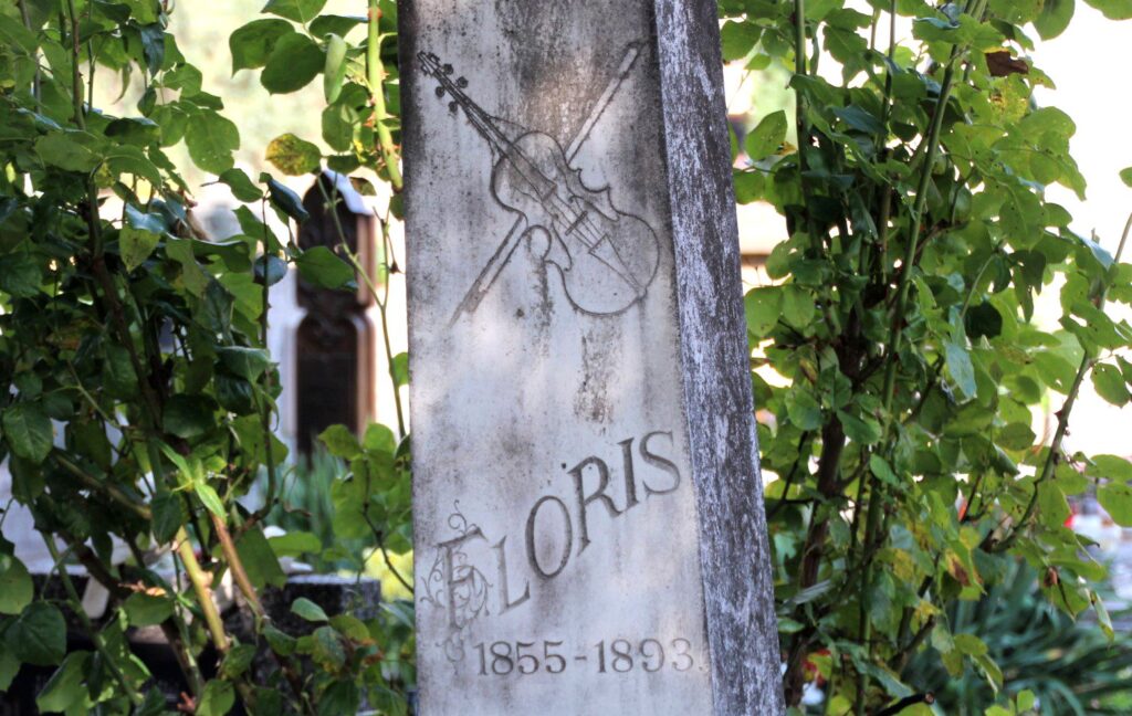 rozsnyo-berky-floris-primas-sirja (4)