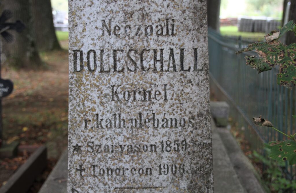 toporc-doleschall-kornel-sirja (5)