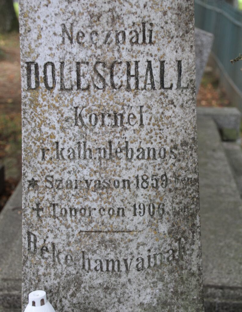 toporc-doleschall-kornel-sirja (4)