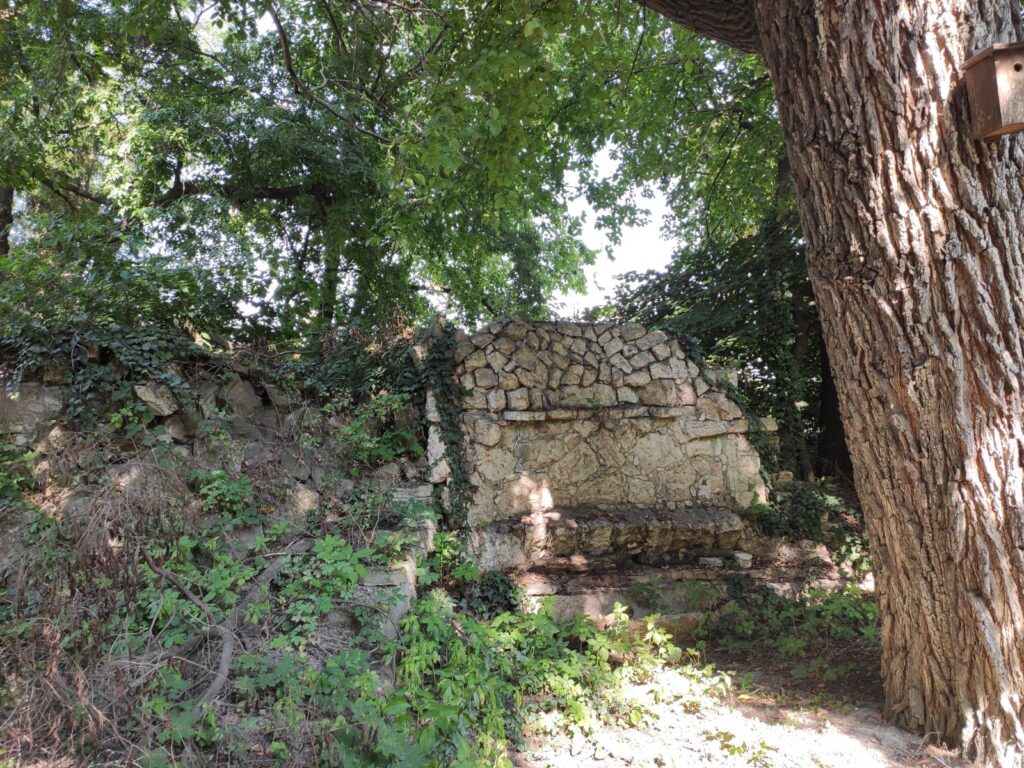 Karva_Szarvassy_kastely_park (36)