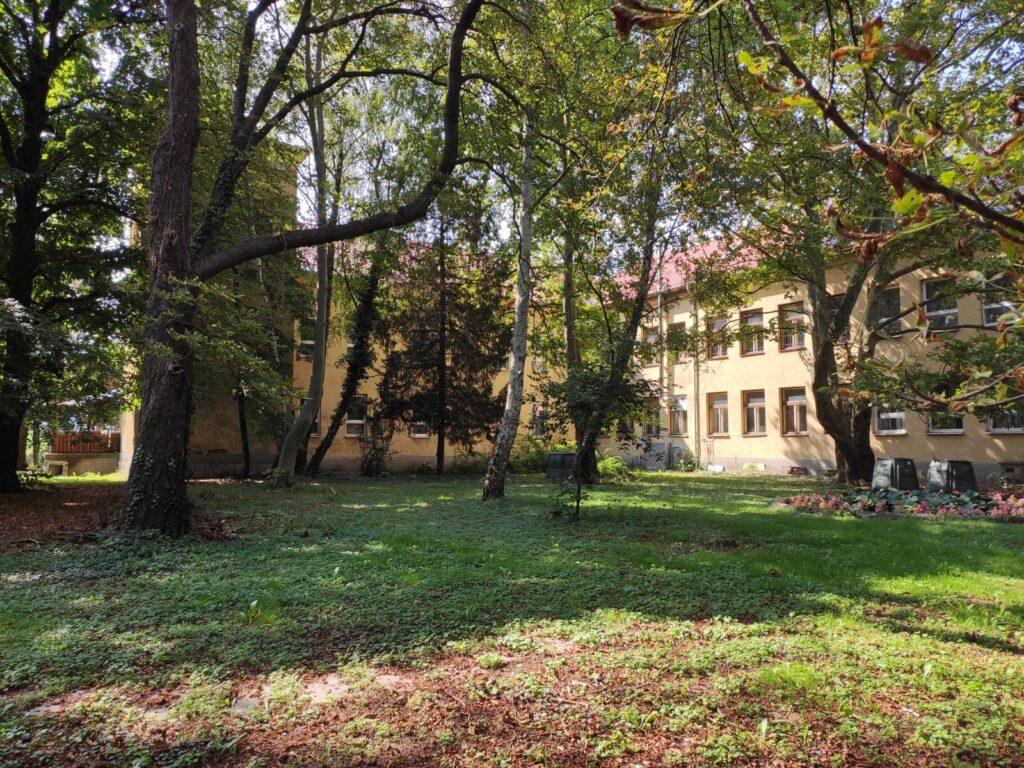 Karva_Szarvassy_kastely_park (27)