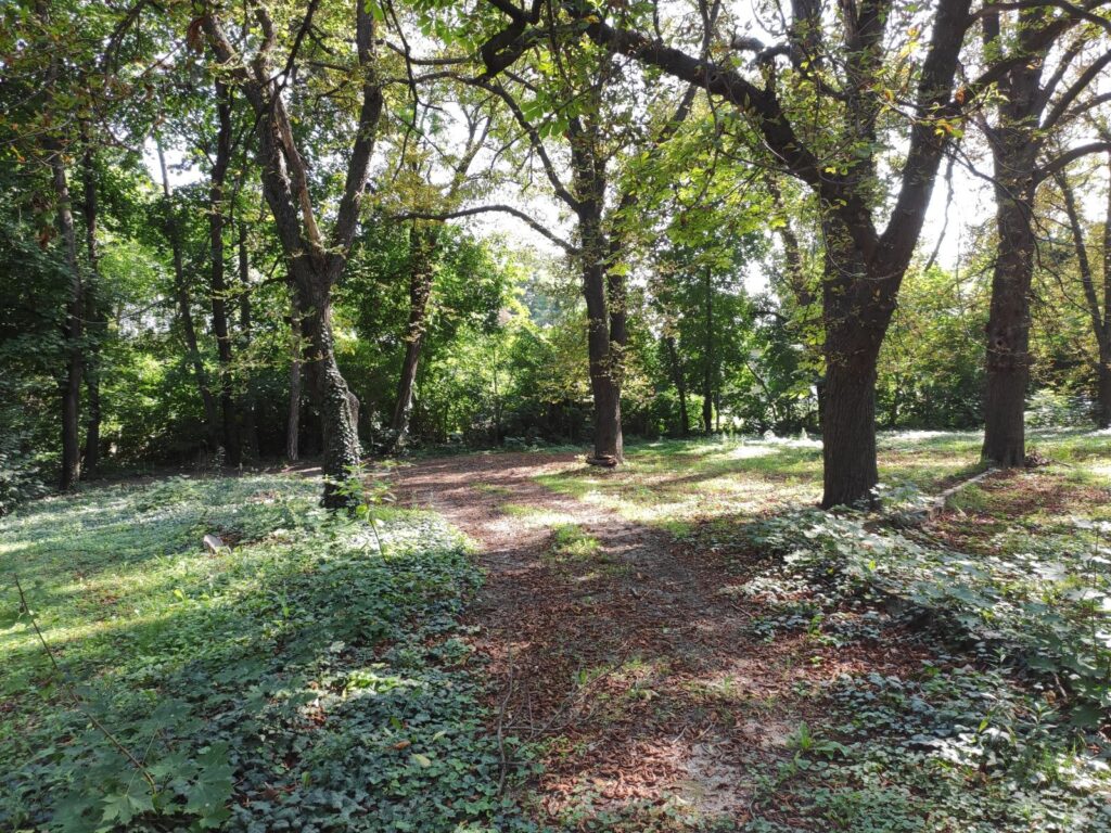 Karva_Szarvassy_kastely_park (26)