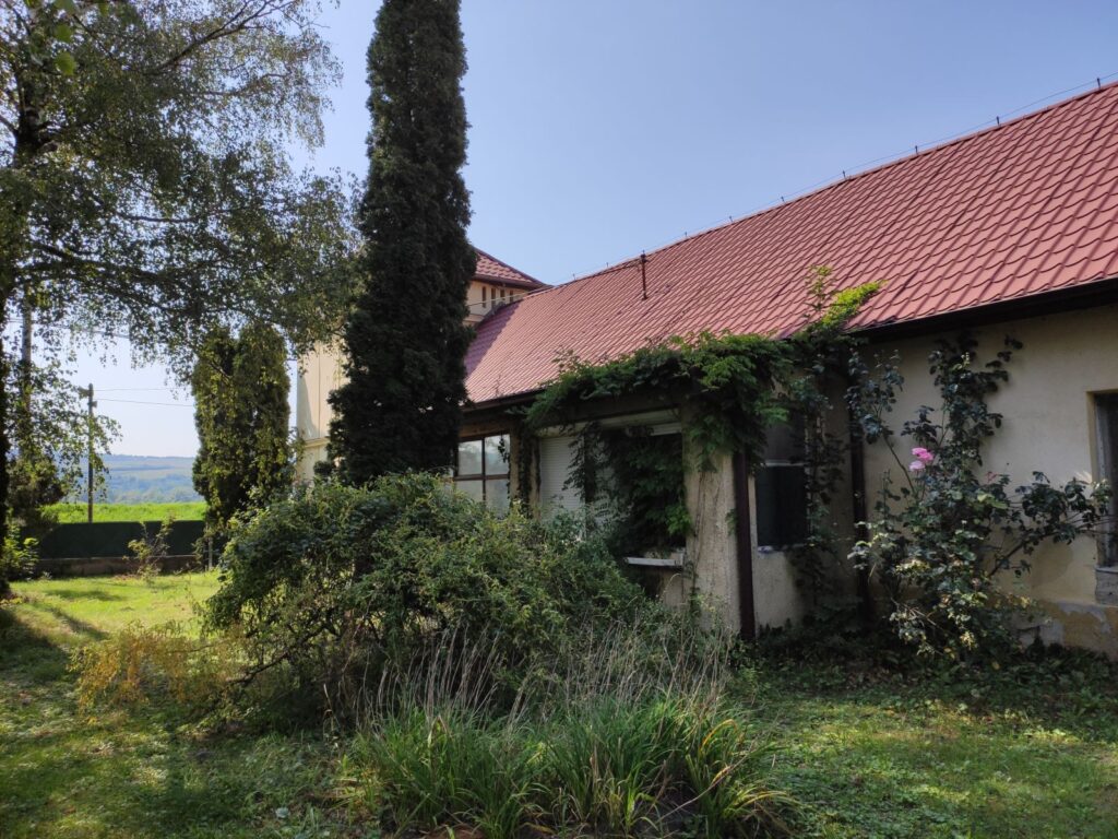 Karva_Szarvassy_kastely_park (24)