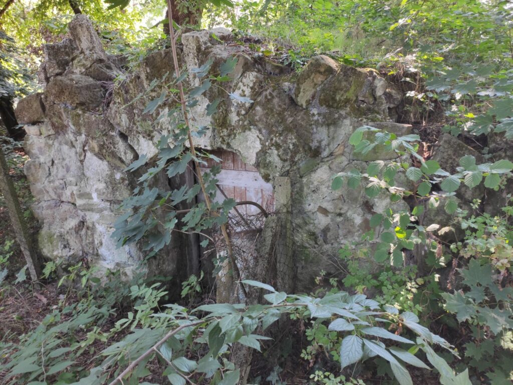 Karva_Szarvassy_kastely_park (19)