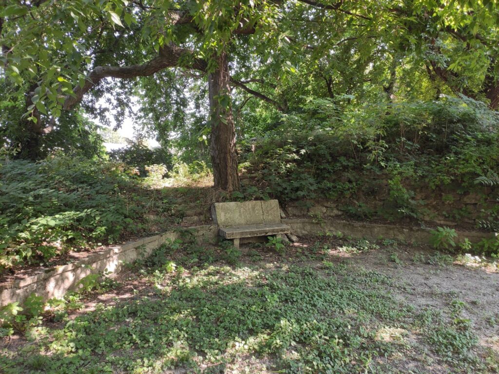 Karva_Szarvassy_kastely_park (18)