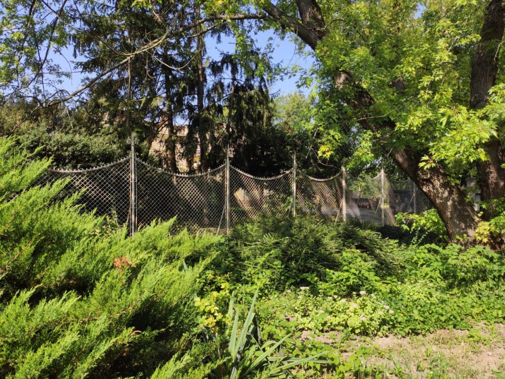 Karva_Szarvassy_kastely_park (12)