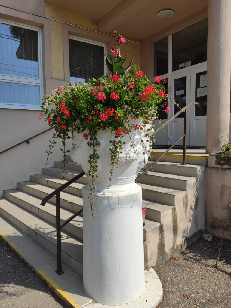 Karva_Szarvassy_kastely_park (7)