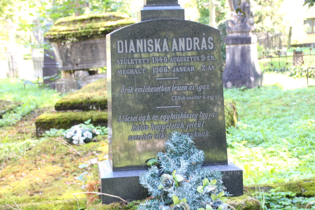 locse-dianiska-andras-sirja (3)