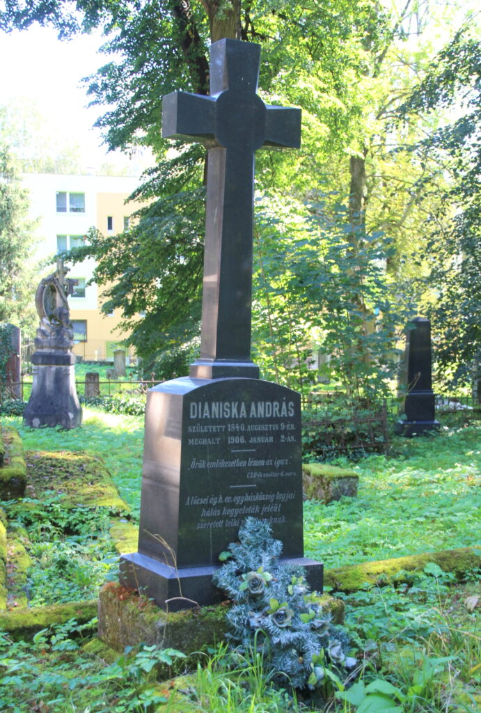 locse-dianiska-andras-sirja (2)