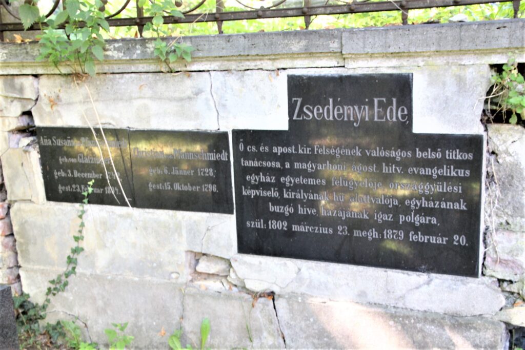 locse-zsedenyi-ede-sirja (5)