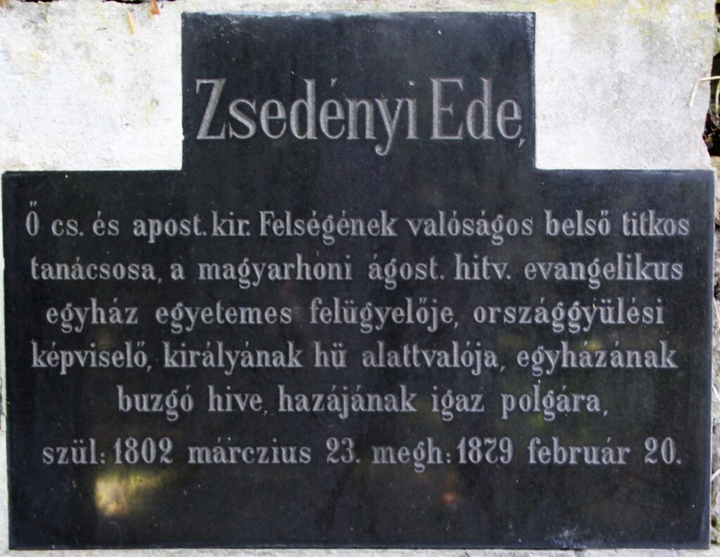 locse-zsedenyi-ede-sirja (4)