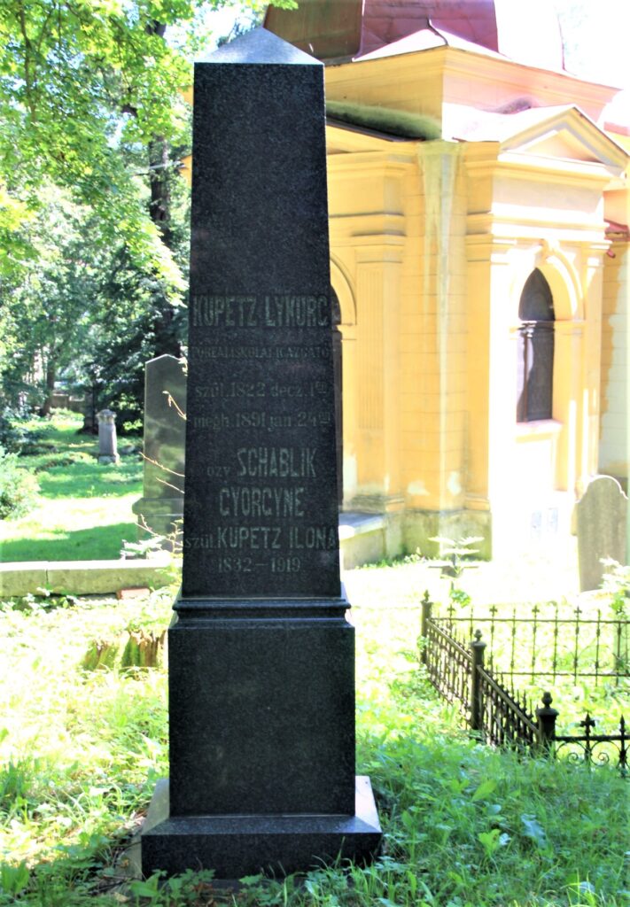 locse-kupetz-lycorg-sirja (2)