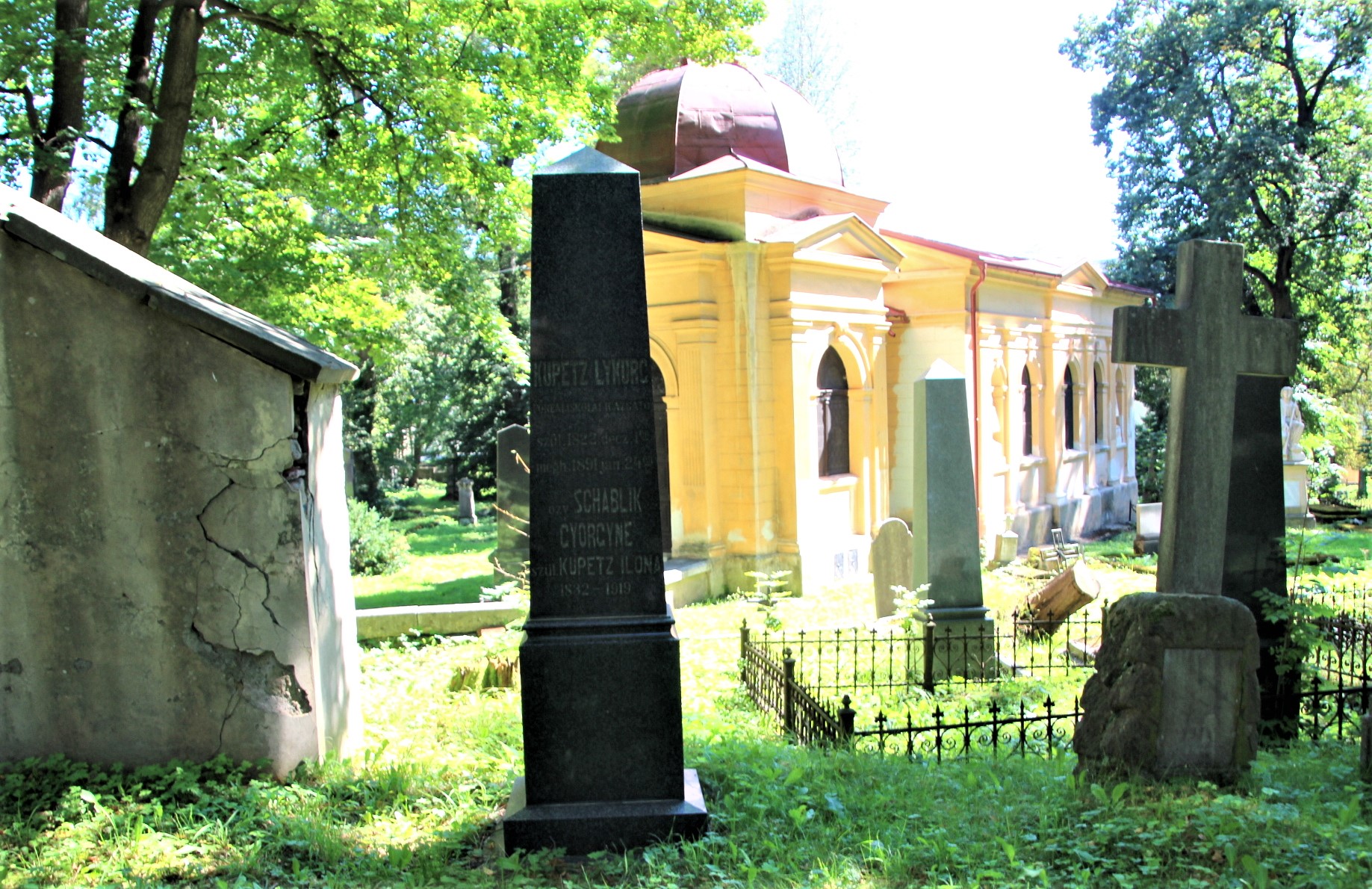 locse-kupetz-lycorg-sirja (1)