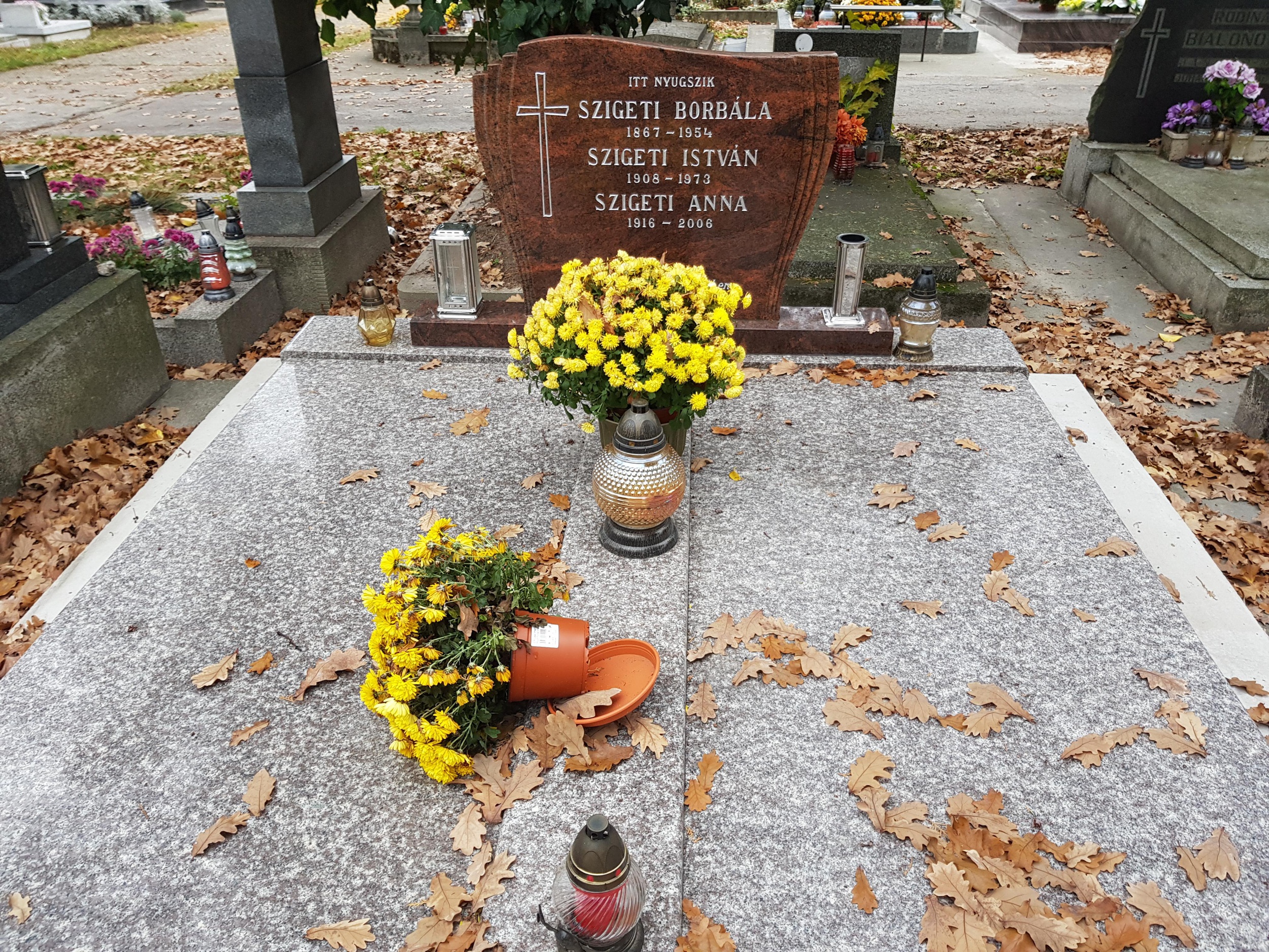 dunaszerdahely-szigeti-anna-sirja-a (1)