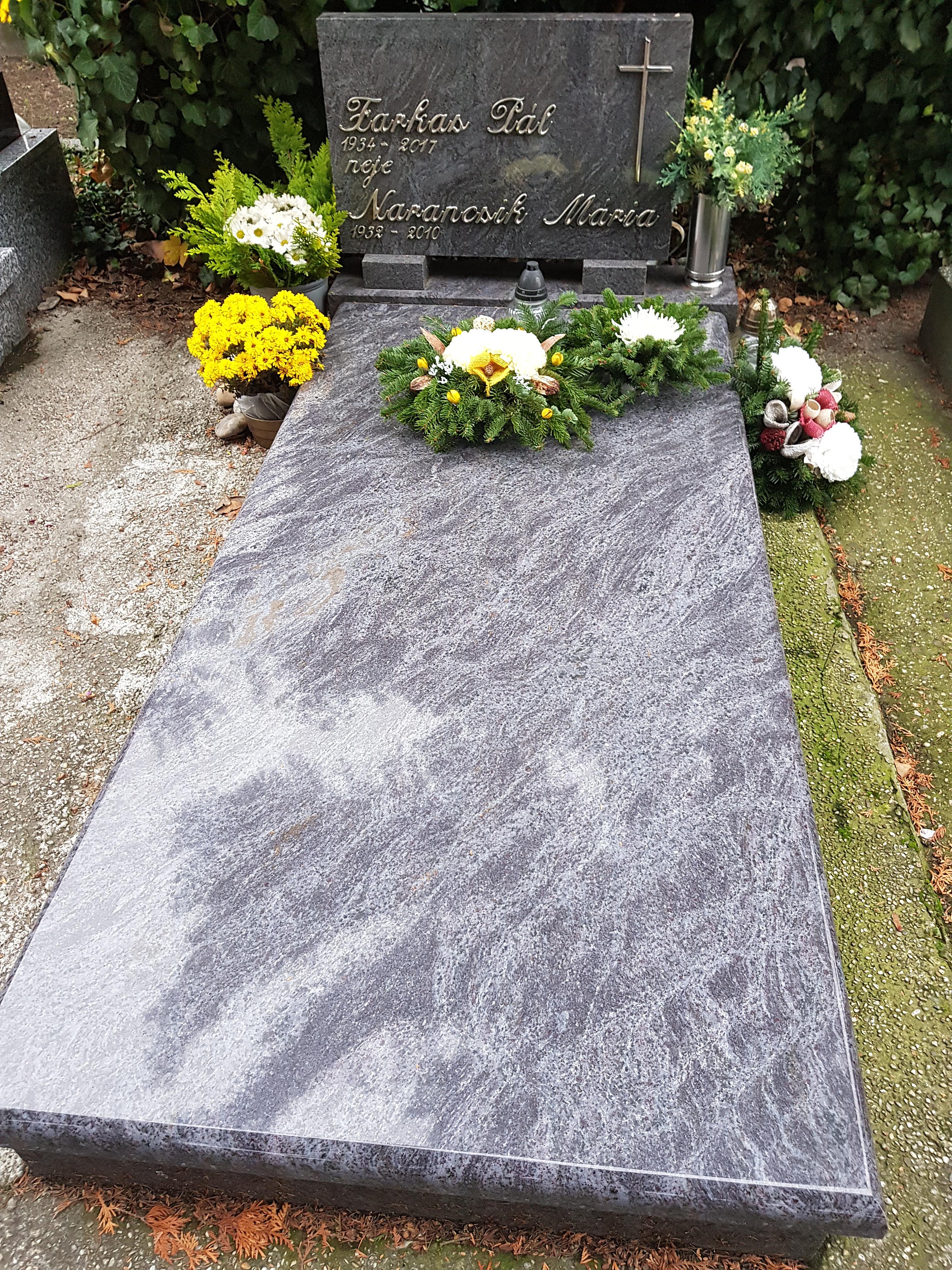 dunaszerdahely-farkas-pal-sirja-1