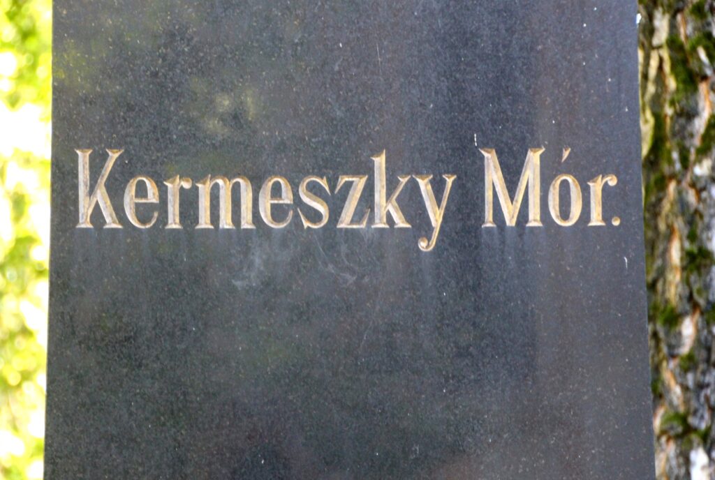 locse-kermeszky-mor-sirja (5)