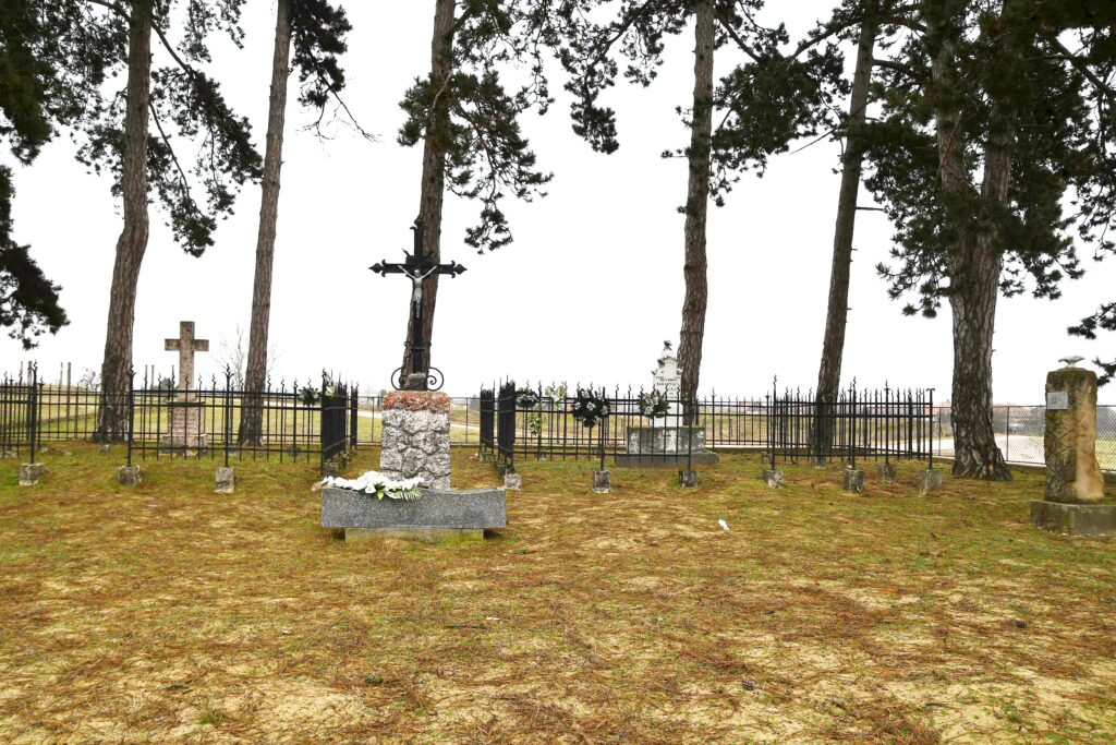 Marcelhaza_Baranyai_sir (8)