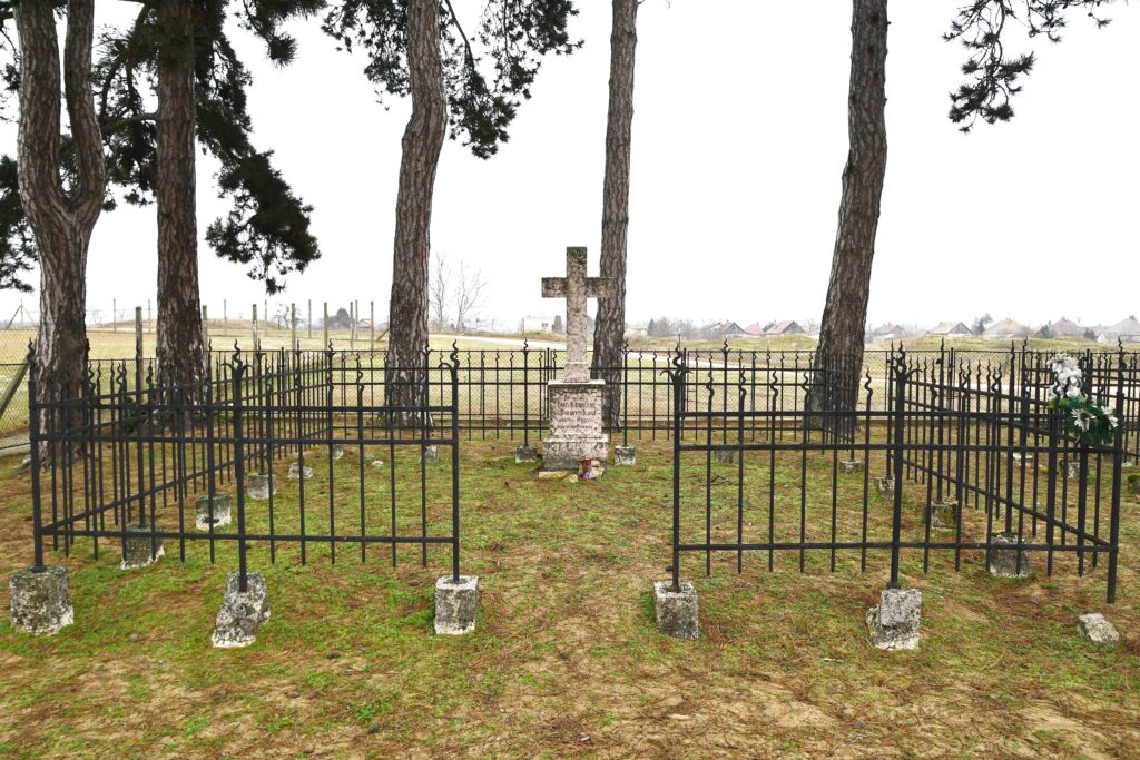 Marcelhaza_Baranyai_sir (7)