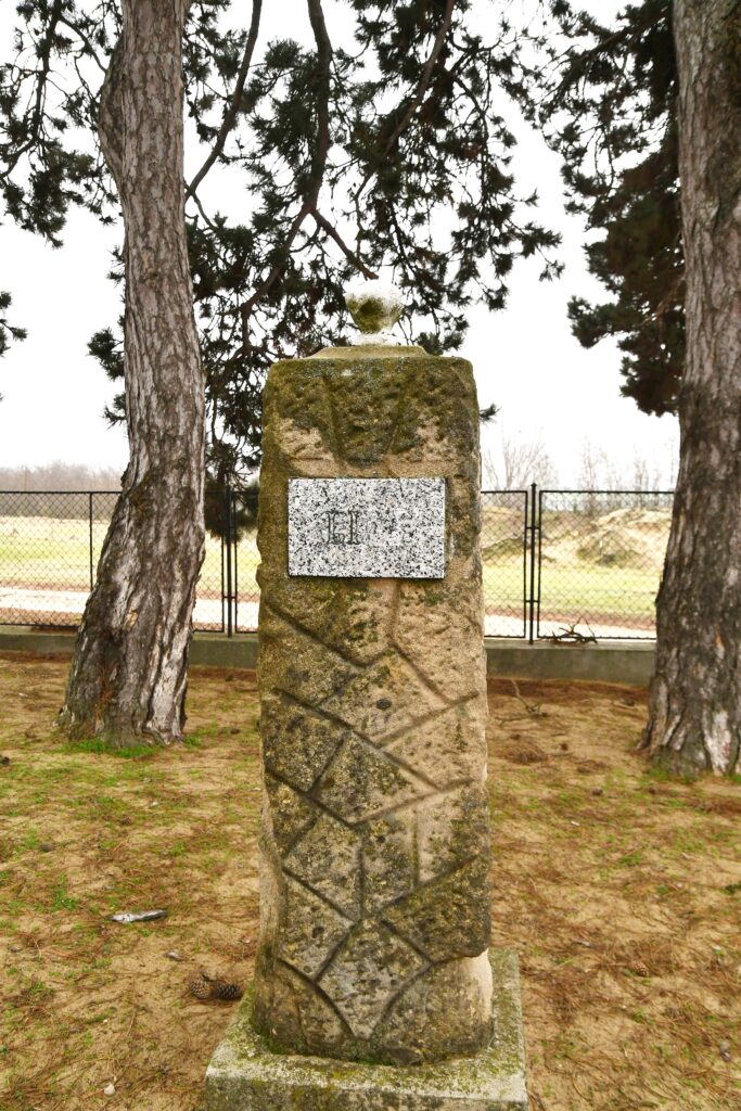 Marcelhaza_Baranyai_sir (4)