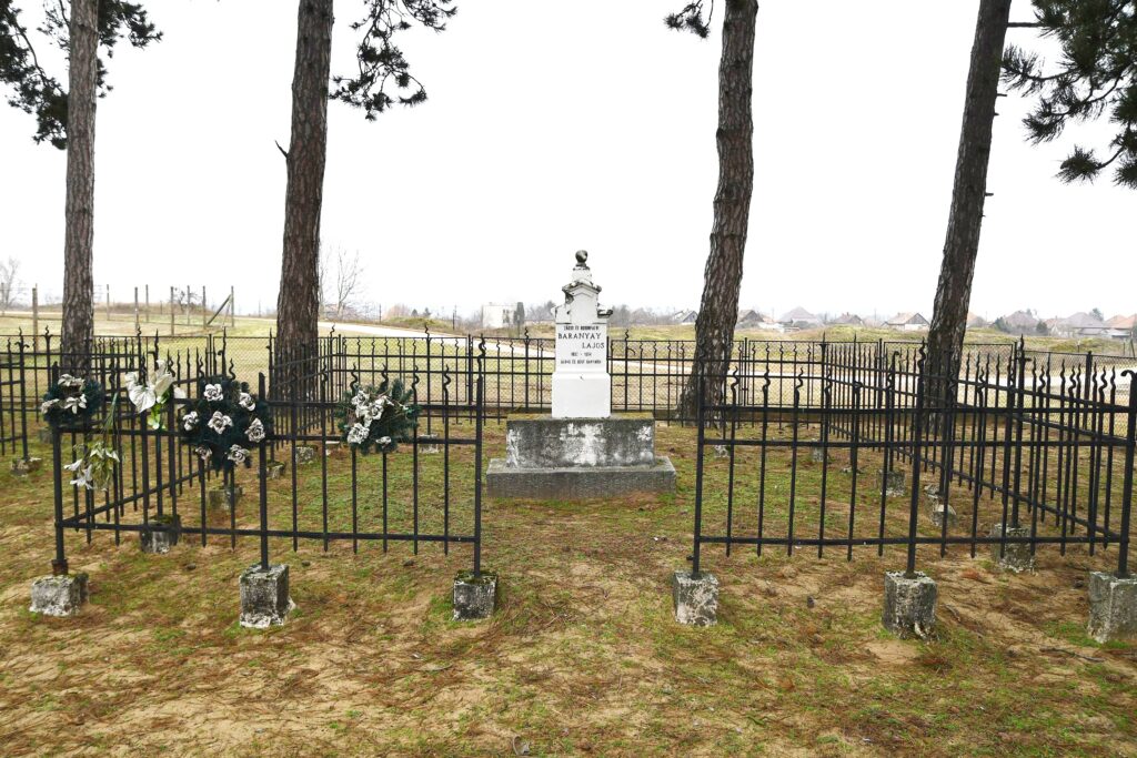 Marcelhaza_Baranyai_sir (3)