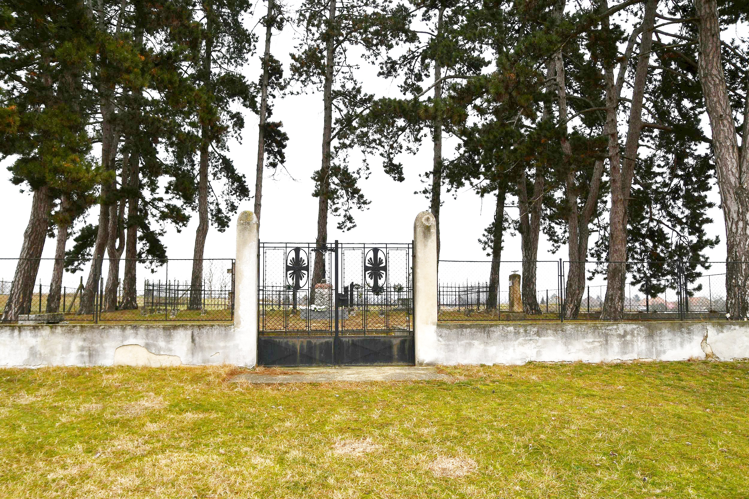 Marcelhaza_Baranyai_sir (1)