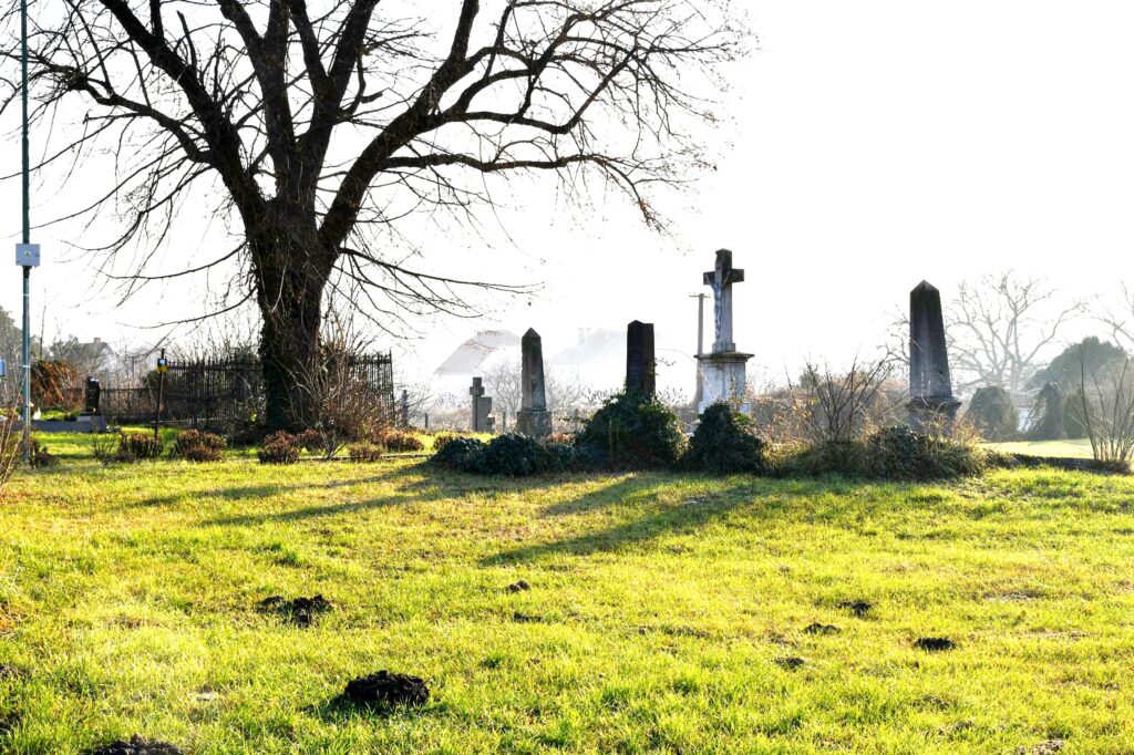 Dunamocs_templomkert