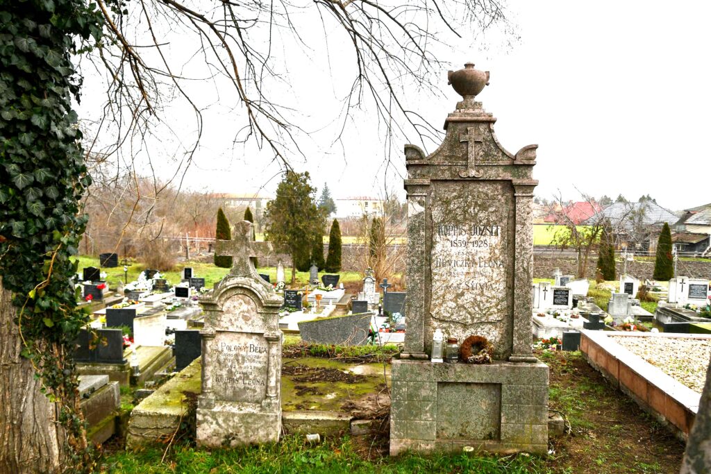 Virt_Polonyi_orvos_sir (2)