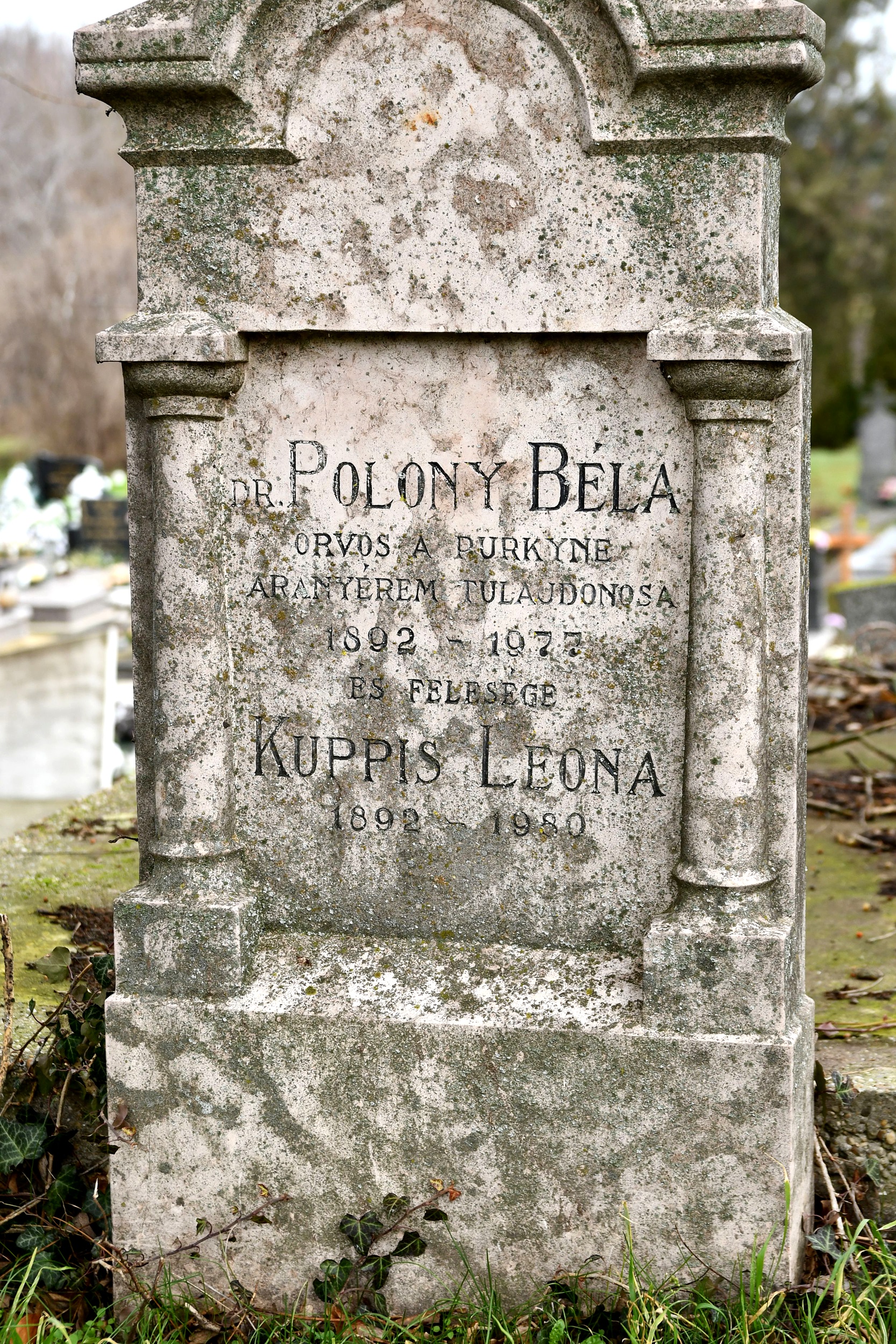 Virt_Polonyi_orvos_sir (1)