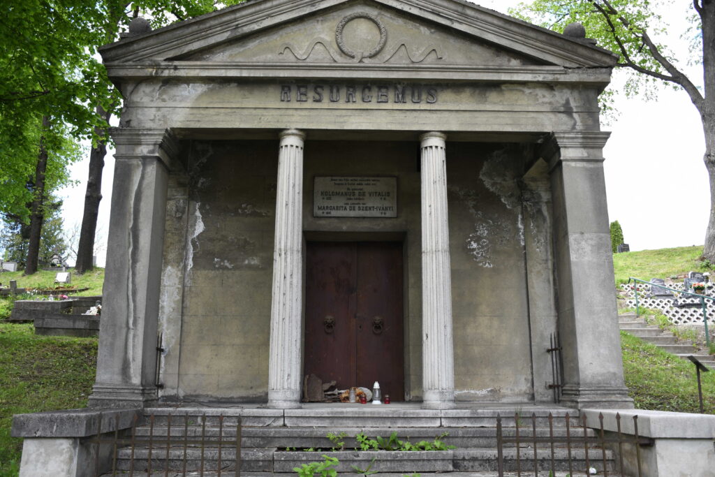 liptoujvar_vitalis_csalad_siremleke-(5)_optimized