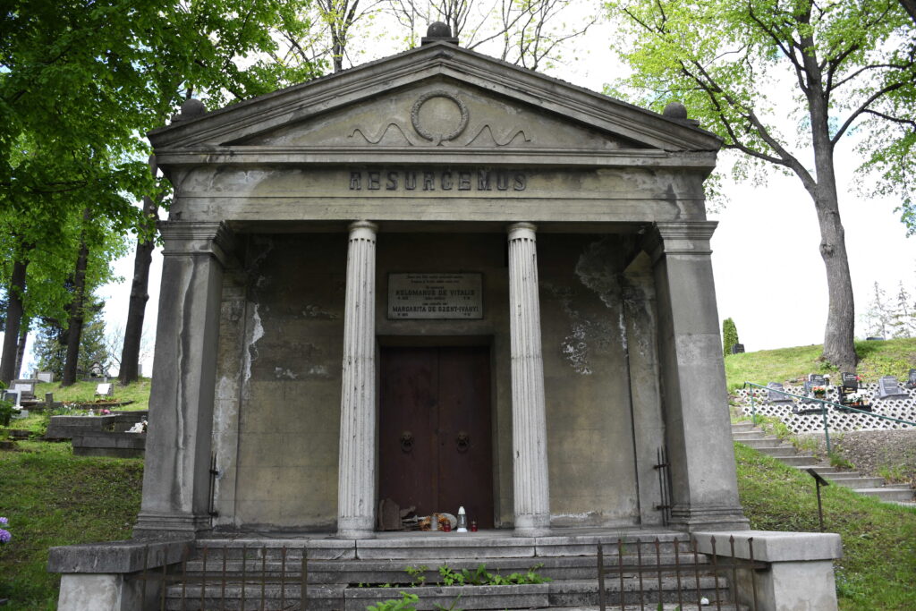 liptoujvar_vitalis_csalad_siremleke-(8)_optimized