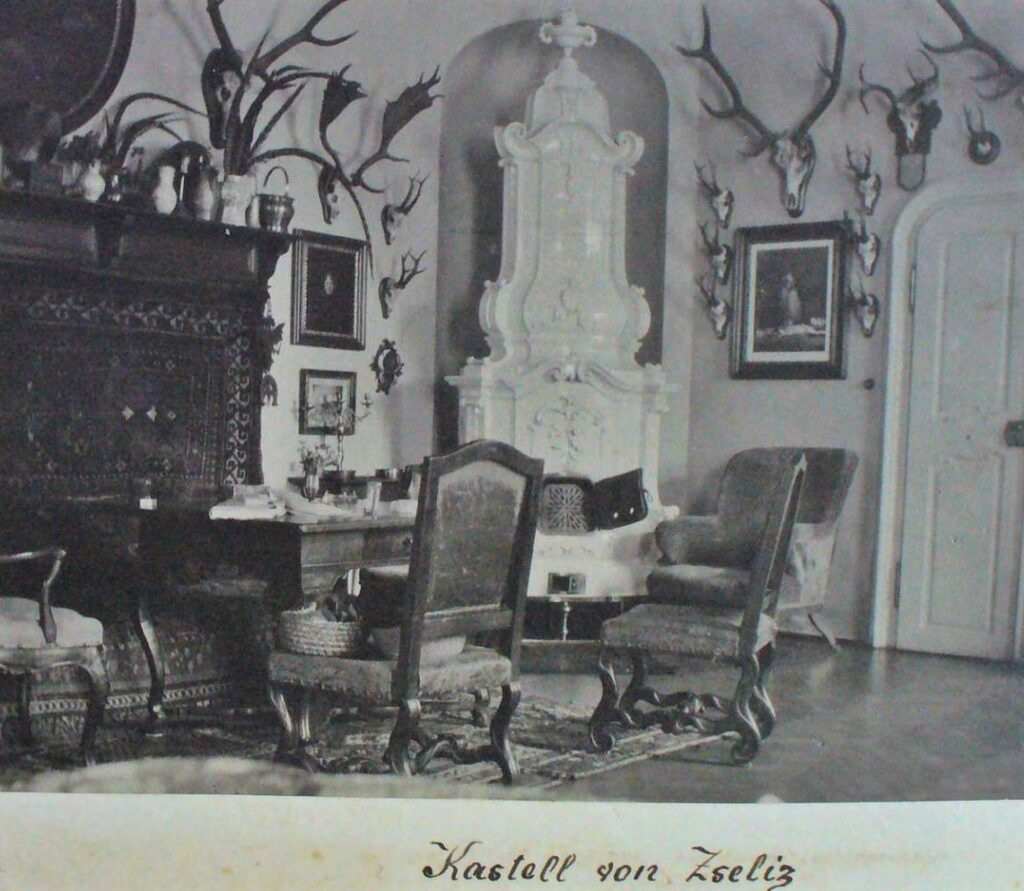 kastély - Zselíz (18)