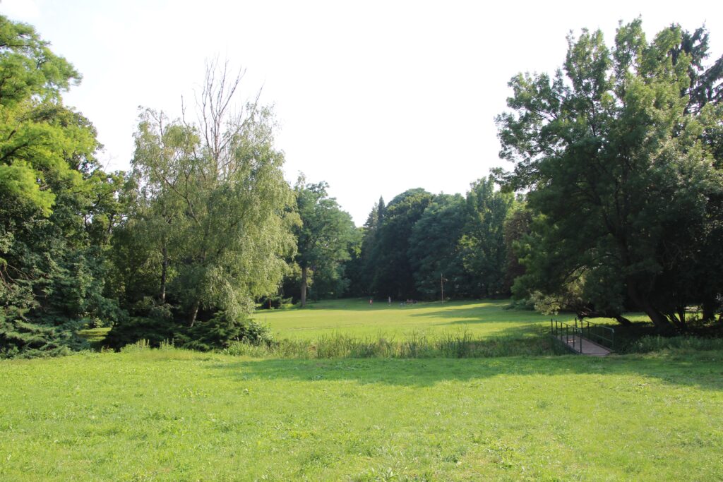 kastély - Zselíz (14)