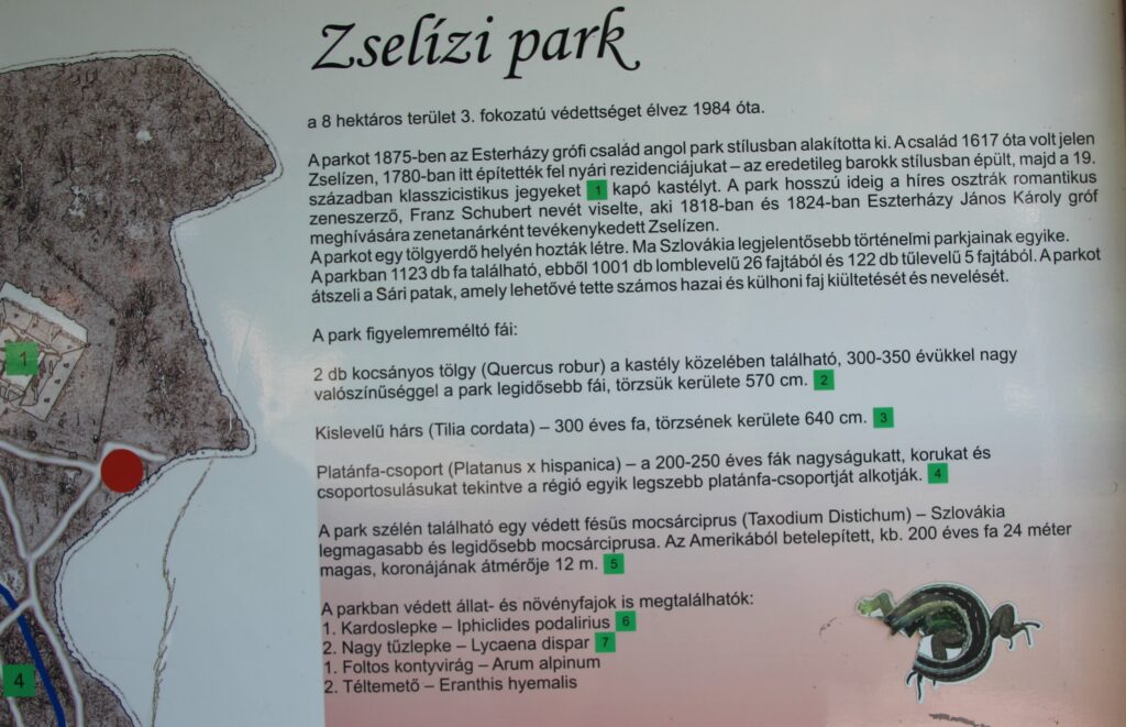 kastély - Zselíz (13)