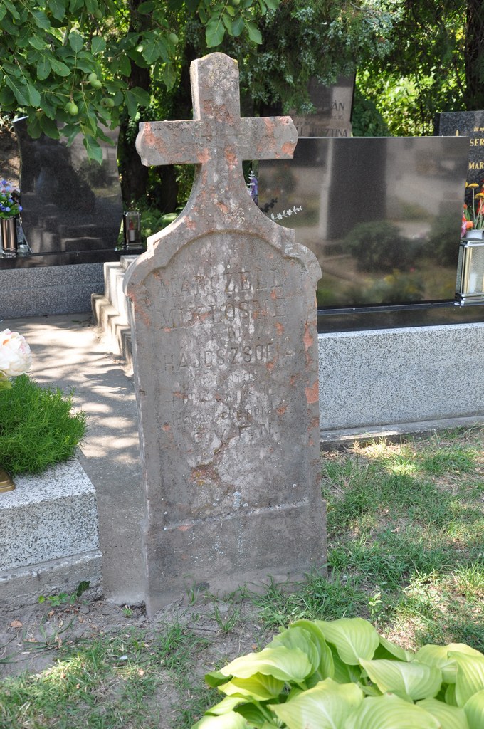 A kisudvarnoki temető régi sírjelei