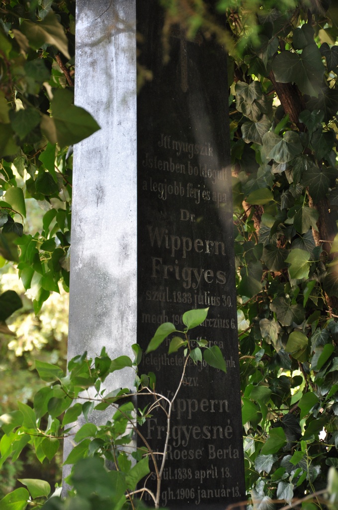 A kisudvarnoki temető régi sírjelei