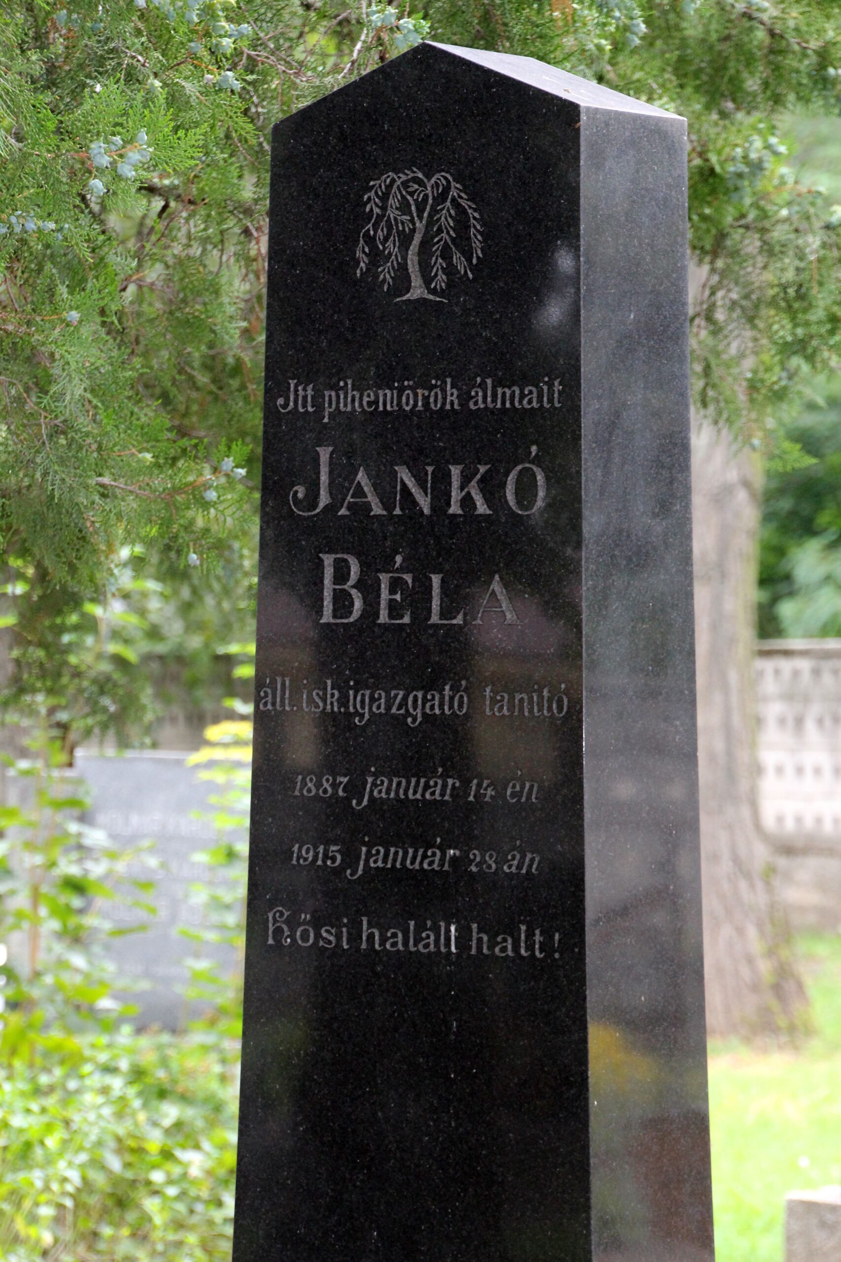 Jankó Béla állami iskola igazgató sírja