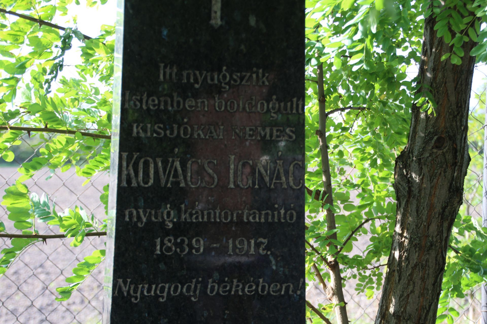 Kisjókai Nemes Kovács Ignác kántortanító sírja