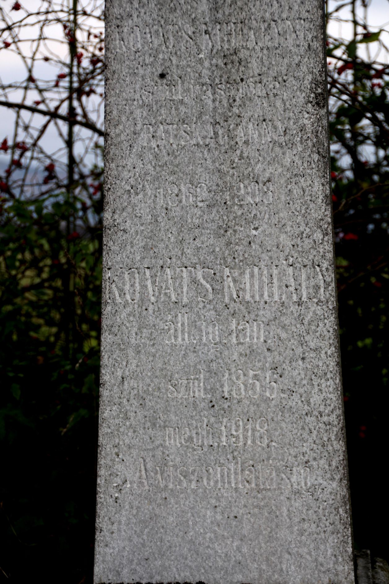 Kováts Mihály igazgató-tanító sírja