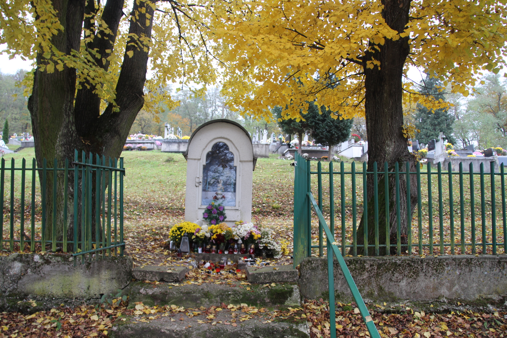 Út menti képfülke