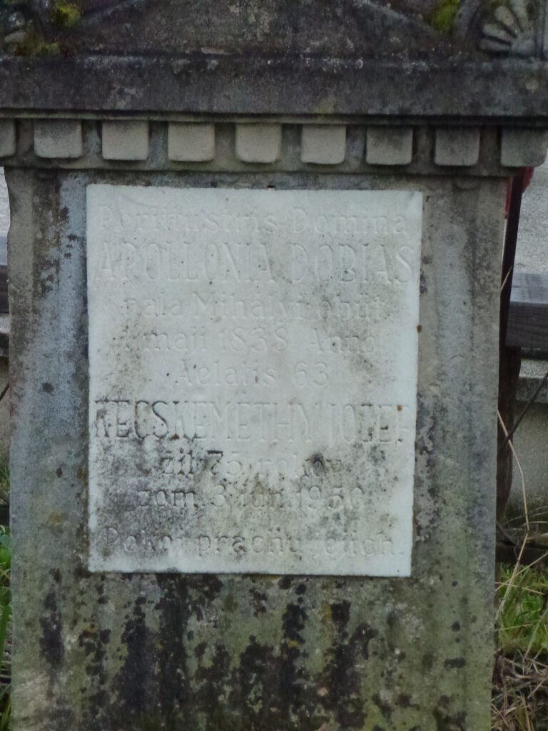 Zichy család sírjai Divényben