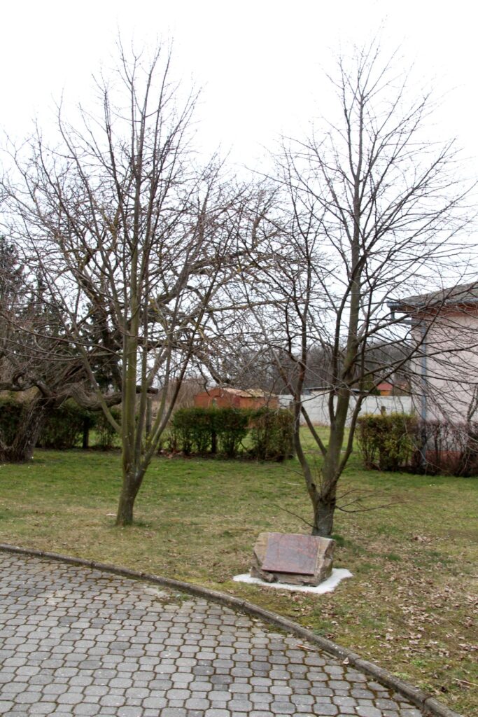 A barátság fái emléktábla