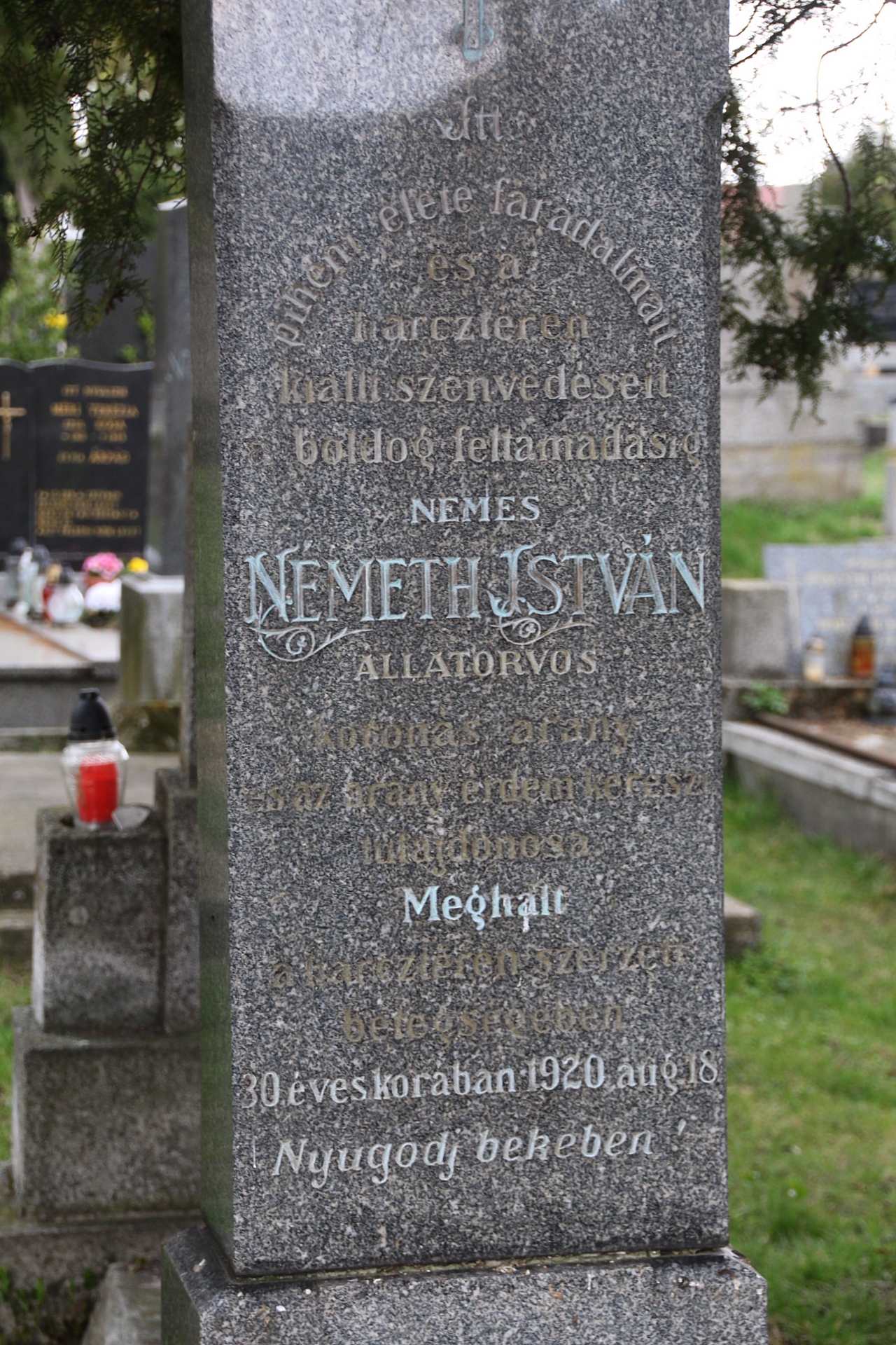 Nemes Németh István állatorvos sírja