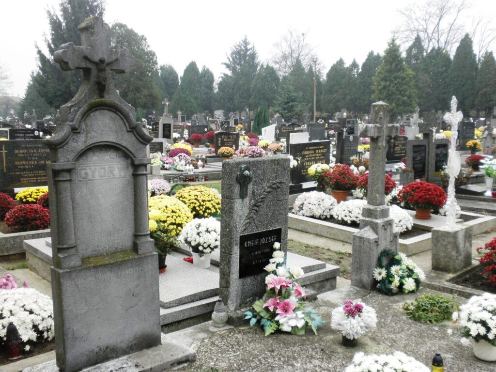 Győry István tanító sírja
